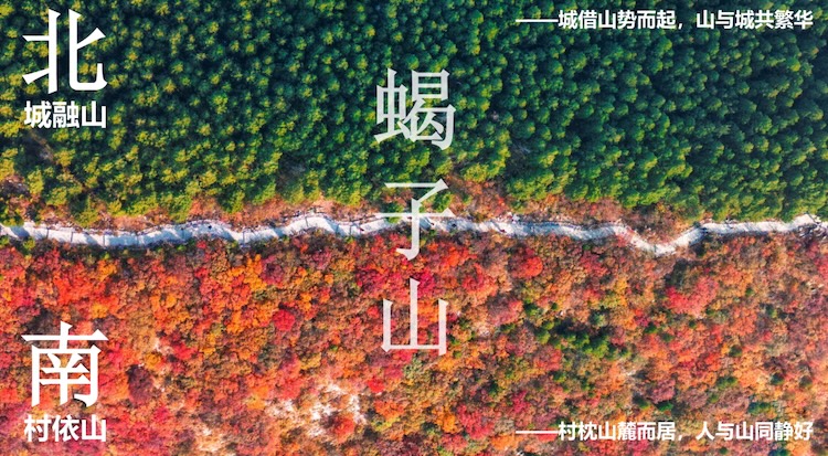 2026济南兴隆蝎子山越野赛